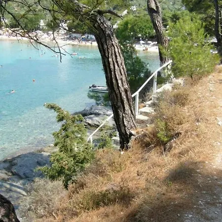 House * Alikí